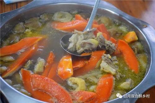 鹤山农场吃瓜,瓜果飘香，共享田园乐趣