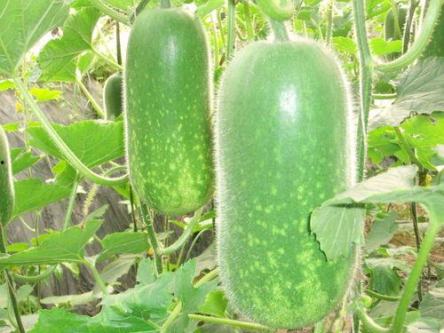 吃瓜网今日吃瓜热门大瓜唐山,吃瓜网揭秘今日热门大瓜