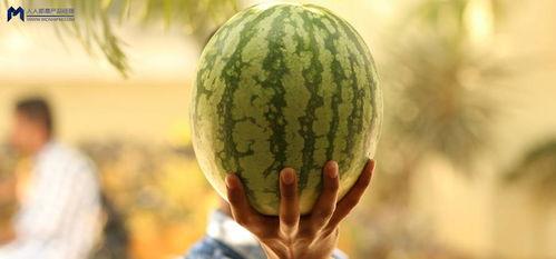 最近吃瓜事件2021,盘点那些年我们一起“吃瓜”的日子