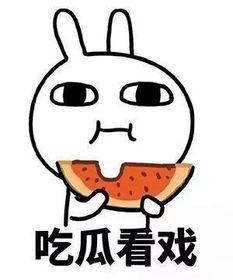 吃瓜最新ip,网络热词背后的文化现象与传播策略