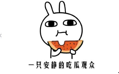 吃瓜的群众心得,揭秘娱乐圈背后的真相与笑料